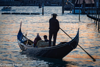 Goldel im Gegenlicht  Venedig Metropolitanstadt Venedig Italien by Peter Ehlert in Venedig_Abendstimmung
