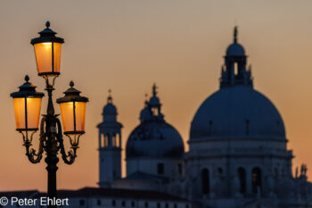 Laterne mit Santa Maria della Salute  Venedig Metropolitanstadt Venedig Italien by Peter Ehlert in Venedig_Abendstimmung