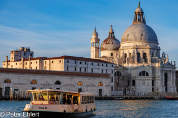 Sonnenlicht auf Santa Maria della Salute
  Venedig Metropolitanstadt Venedig Italien by Peter Ehlert in Venedig_Morgenstimmung