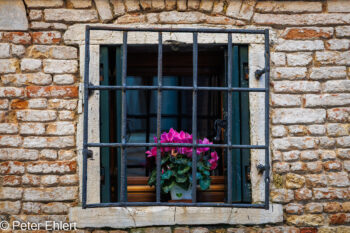 Fenster  Venedig Metropolitanstadt Venedig Italien by Peter Ehlert in venedig_fenster