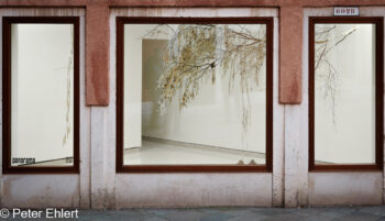 Fenster  Venedig Metropolitanstadt Venedig Italien by Peter Ehlert in venedig_fenster