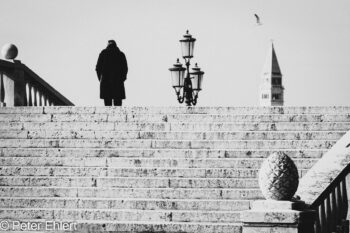 Mann auf der Treppe  Venedig Metropolitanstadt Venedig Italien by Peter Ehlert in Venedig_schwarzweiss