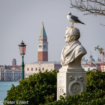 Möwe, Campanile, Richard Wagner und Laterne  Venedig Metropolitanstadt Venedig Italien by Peter Ehlert in venedig_bildbeziehungen