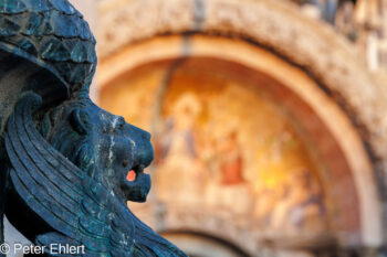 Löwenkopf mit Basilica di San Marco  Venedig Metropolitanstadt Venedig Italien by Peter Ehlert in venedig_bildbeziehungen