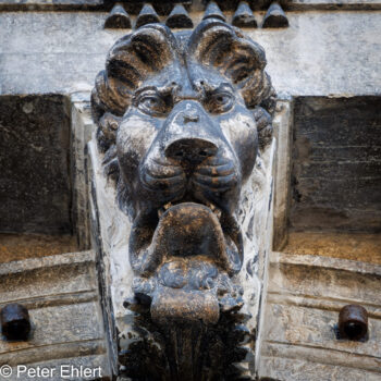 grimmiger Löwenkopf  Venedig Metropolitanstadt Venedig Italien by Peter Ehlert in venedig-details