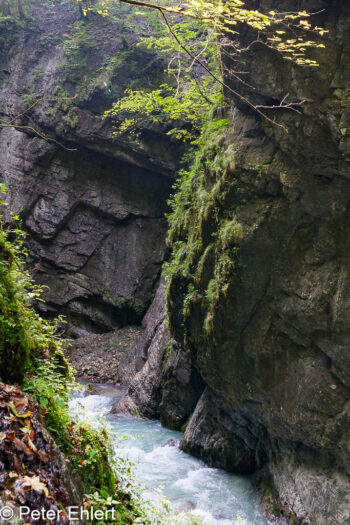 In der Klamm  Garmisch-Partenkirchen Bayern Deutschland by Peter Ehlert in partnachklamm