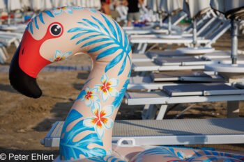 Geparkter Flamingo  Bellaria-Igea Marina Provinz Rimini Italien by Peter Ehlert in Bellaria 2025