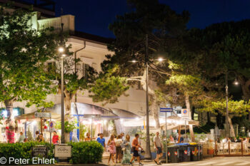 Restaurant  Cesenatico Provinz Forlì-Cesena Italien by Peter Ehlert in Partyboot 2025