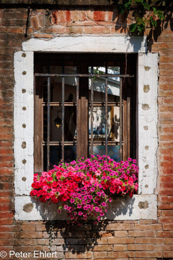 Fenster zum Innenhof mit Blumen   Venedig Metropolitanstadt Venedig Italien by Peter Ehlert in venedig-stadt