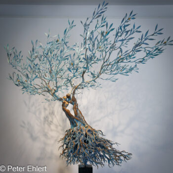 Il Futuro è nostro (Andrea Roggi)  Venedig Metropolitanstadt Venedig Italien by Peter Ehlert in Ravagnan Gallery
