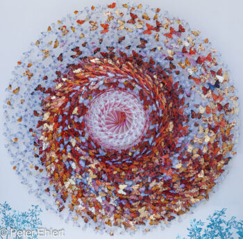 Dreamcatcher Venezia d'oro (Annalù)  Venedig Metropolitanstadt Venedig Italien by Peter Ehlert in Ravagnan Gallery