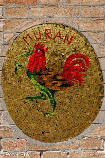 Mosaik mit Hahn  Venedig Metropolitanstadt Venedig Italien by Peter Ehlert in venedig-murano