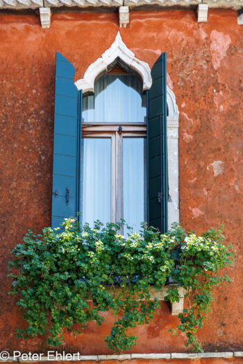 Fenster mit Blumen  Venedig Metropolitanstadt Venedig Italien by Peter Ehlert in venedig-murano