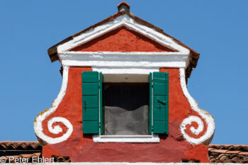 Gaube  Venedig Metropolitanstadt Venedig Italien by Peter Ehlert in venedig-burano
