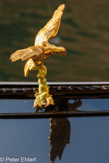 Adler auf Goldel  Venedig Metropolitanstadt Venedig Italien by Peter Ehlert in venedig-stadt