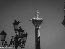 Alter weißer Mann  Venedig Metropolitanstadt Venedig Italien by Peter Ehlert in venedig-sw