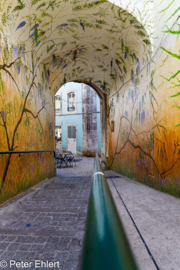 Durchgang  Lissabon Região de Lisboa Portugal by Peter Ehlert in LIS-Gracia