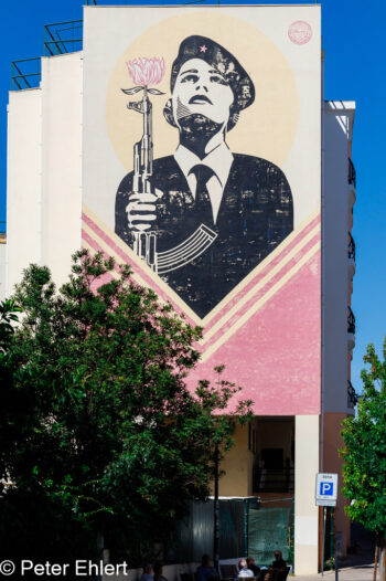 Bild von Celeste Martins Caeiro - Nelkenrevolution  Lissabon Região de Lisboa Portugal by Peter Ehlert in LIS-Gracia