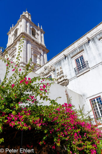 Igreja de São Vicente de Fora  Lissabon Região de Lisboa Portugal by Peter Ehlert in LIS-Gracia