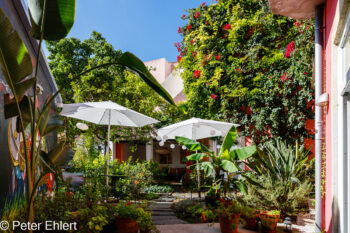 Innenhof, Garten  Lissabon Distrikt Lissabon Portugal by Peter Ehlert in LIS-Tings