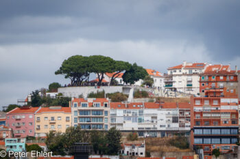 Miradouro da Senhora do Monte Miradouro da Senhora do Monte Lissabon Distrikt Lissabon Portugal by Peter Ehlert in LIS-Barrio Alto und Chiado