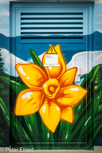 Osterglocke Fassaden-Kunst mit Tür  München Bayern Deutschland by Peter Ehlert in MUC-Ostbahnhof