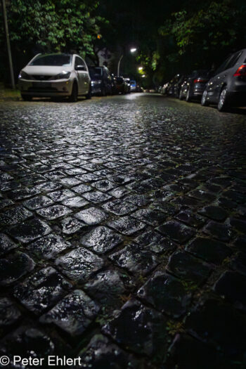 Basaltpflaster  Braunschweig Niedersachsen Deutschland by Peter Ehlert in bs-uni