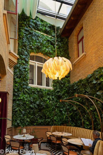 EAT Grill &#038; Bar  Braunschweig Niedersachsen Deutschland by Peter Ehlert in bs-kohlmarkt
