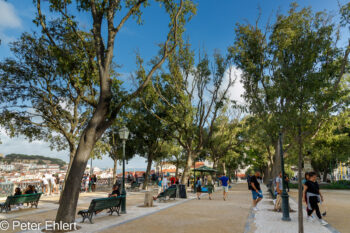 Jardim dos narmorados  Lissabon Distrikt Lissabon Portugal by Peter Ehlert in LIS-Barrio Alto und Chiado