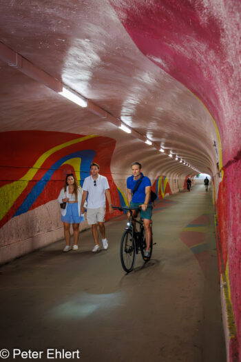 Rosa Tunnel mit Farbkunst  München Bayern Deutschland by Peter Ehlert in MUC-UnterführungOst