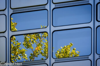 Fenster mit Spiegelung  München Bayern Deutschland by Peter Ehlert in MUC-HVB