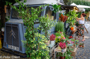 Mobiler Blumenverkauf  Lissabon Distrikt Lissabon Portugal by Peter Ehlert in LIS-LX
