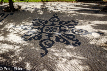 Pflasterstein Mosaik  Lissabon Distrikt Lissabon Portugal by Peter Ehlert in LIS-Stadt