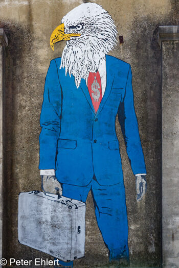 Wandbild - Mann mit Vogelkopf  Lissabon Distrikt Lissabon Portugal by Peter Ehlert in LIS-LX