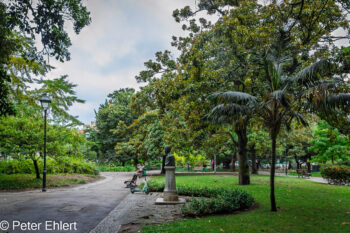 Blick in den Park  Lissabon Distrikt Lissabon Portugal by Peter Ehlert in lis-embaixada