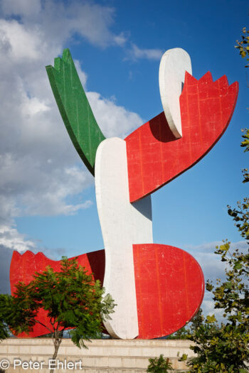 Monumentos aos Constructores da Cidade - José Guimarães  Lissabon Distrikt Lissabon Portugal by Peter Ehlert in LIS-Stadt