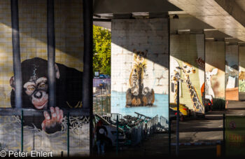 Brückenpfeilerkunst am Zoo  Lissabon Distrikt Lissabon Portugal by Peter Ehlert in LIS-Stadt