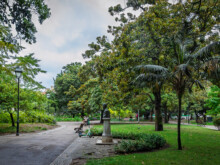 Blick in den Park  Lissabon Distrikt Lissabon Portugal by Peter Ehlert in lis-embaixada