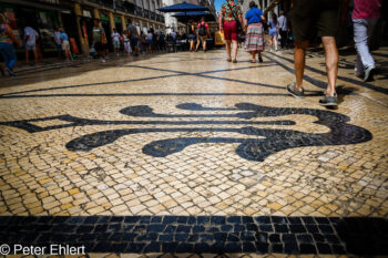 Pflastersteinmosaike  Lissabon Distrikt Lissabon Portugal by Peter Ehlert in LIS-Augusta