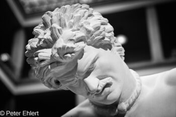 Portrait  München Bayern Deutschland by Peter Ehlert in Abguss-Portrait,Durchblick