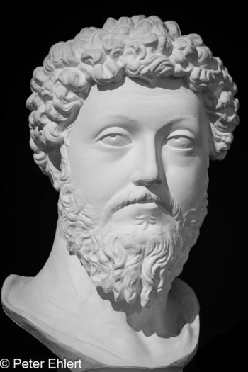 Portrait  München Bayern Deutschland by Peter Ehlert in Abguss-Portrait,Durchblick