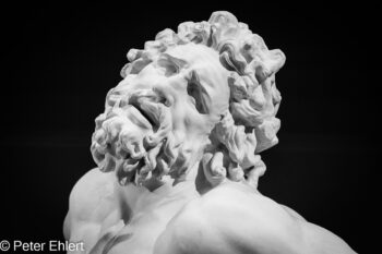 Portrait  München Bayern Deutschland by Peter Ehlert in Abguss-Portrait,Durchblick