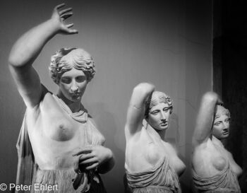 Reihen  München Bayern Deutschland by Peter Ehlert in Abguss-Reihen,Hand,Beziehungen