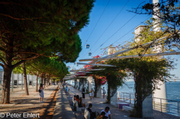 Promenade im Parque das Nações  Lissabon Distrikt Lissabon Portugal by Peter Ehlert in Diese Aufnahme zeigt die entspannte Atmosphäre an der Uferpromenade im Stadtteil Olivais in Lissabon. Die Szene kombiniert moderne architektonische Elemente wie die Seilbahn mit einer üppigen, blühenden Vegetation und bietet einen Blick auf den Fluss T
